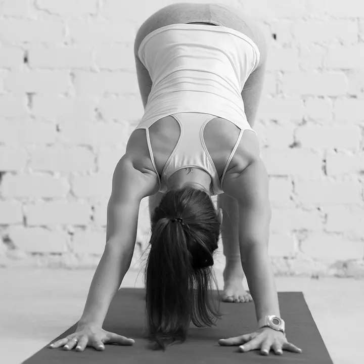 Máximo Gym — bootcamp-studio em Porto — 6