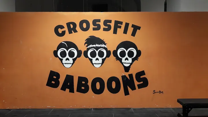 Crossfit Baboons — crossfit-studio a Palermo — 4