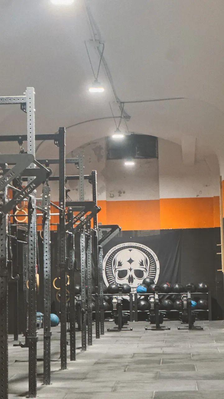 Crossfit Baboons — crossfit-studio a Palermo — 5