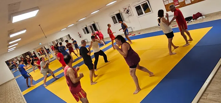 KUNG FU BOMPAS — arts martiaux-studio à Bompas — 4