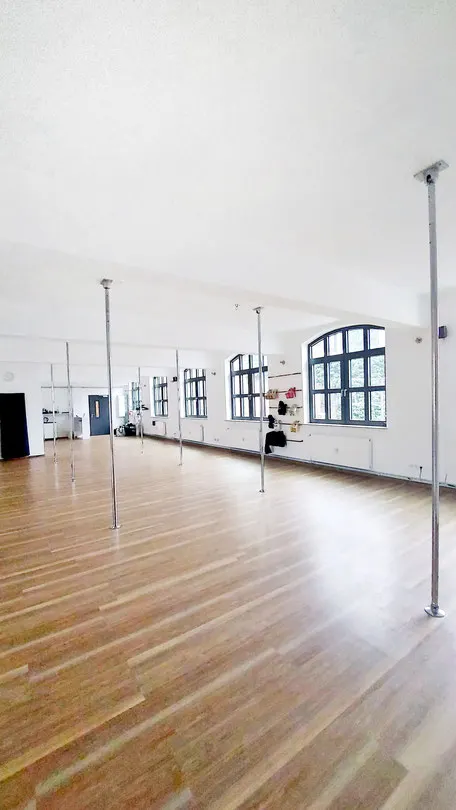 poleVYbe Dance — Pole Fitness in Senefelderquartier, Offenbach am Main
