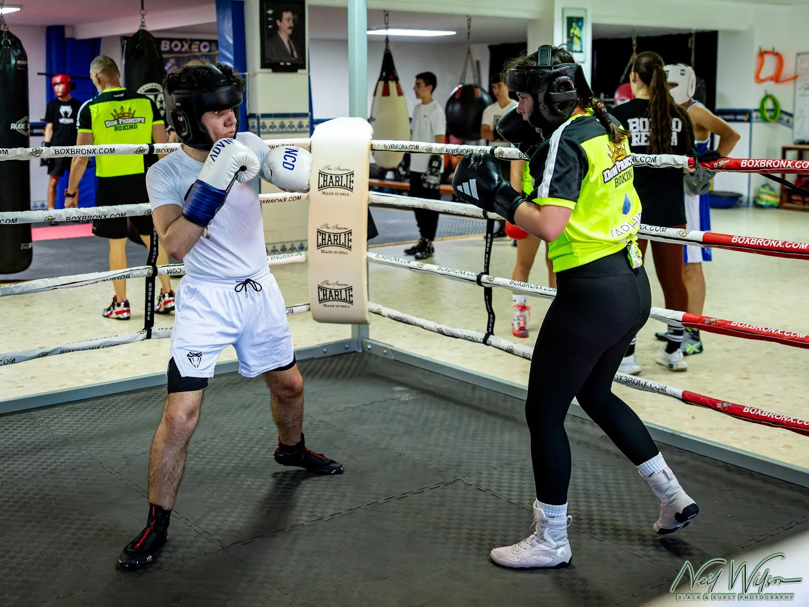 Municipal School Boxing And Martial Arts Don Prince — artes marciales-studio en La Línea de la Concepción — 3