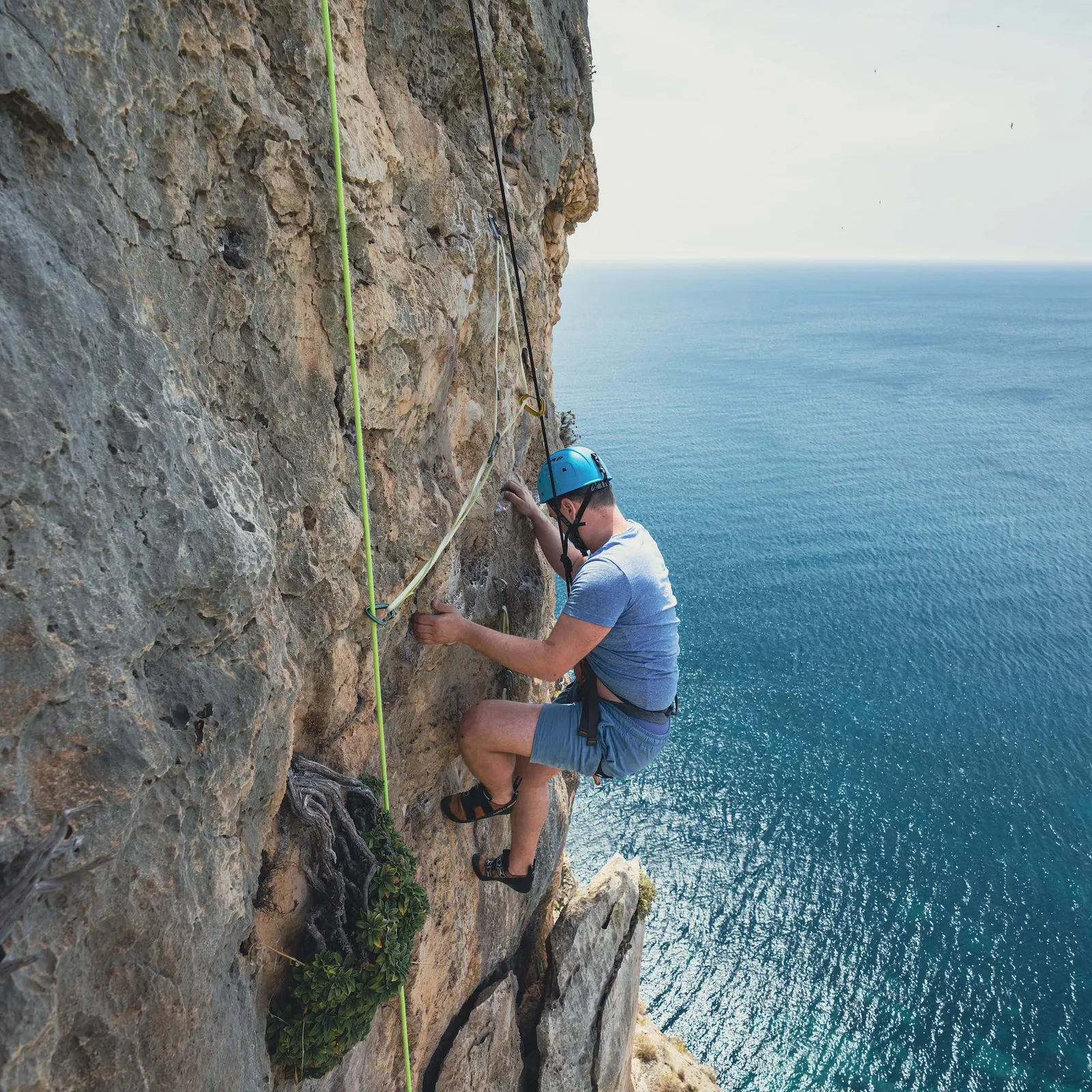 Awanamountains — klättring-studio i Alacant — bild 2