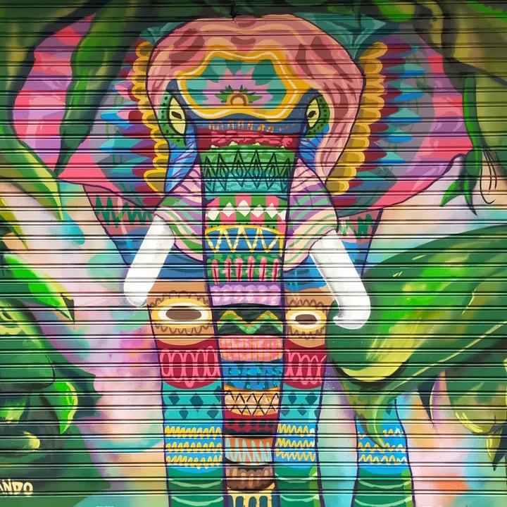 La Tribu Dantza Espazioa — baile-studio en San Francisco, Bilbao — 2