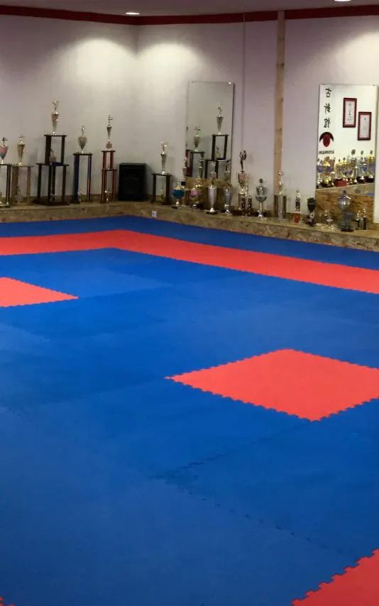 Teikyo Karate Team — Martial Arts in Dammühle, Kaiserslautern