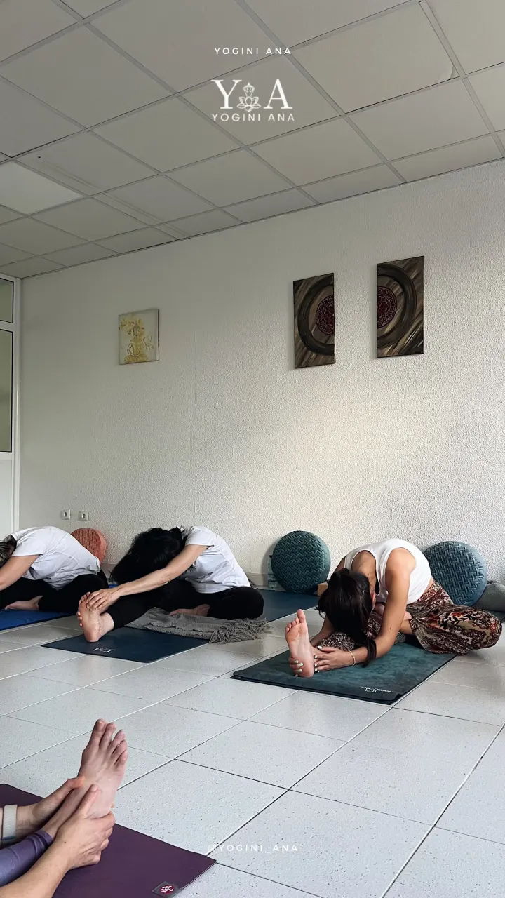 Yogini Ana — yoga-studio em Castelo Branco — 3