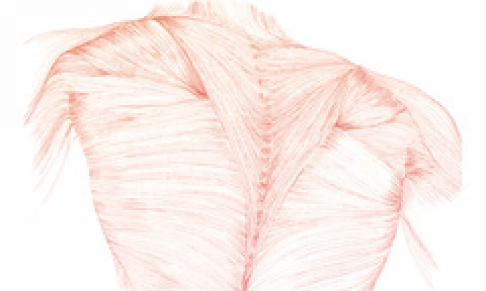 Faszien Pilates Rose Sudworth — pilates-studio in Eimsbüttel, Hamburg — 2