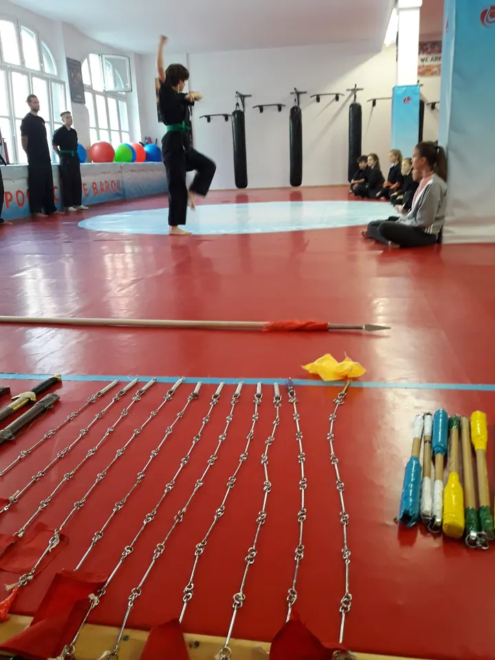 Kungfuschule Baron Sportschulen — kampfsport-studio in Wuppertal — 6