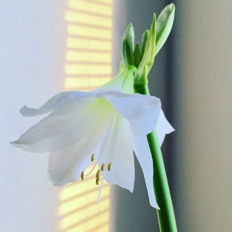Dr. Annette Günther — yoga-studio in Hiltrup, Münster — 2