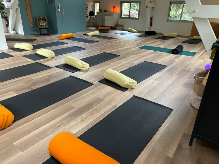 Samadhi Yoga et Therapies Douces — yoga-studio à Sainte-Foy-lès-Lyon, Lyon — 2