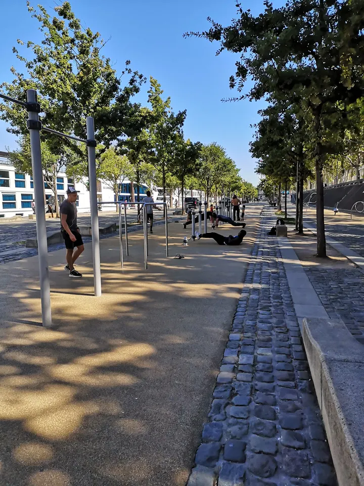 musculation plein air — Callisthénie à Lyon 7e Arrondissement, Lyon