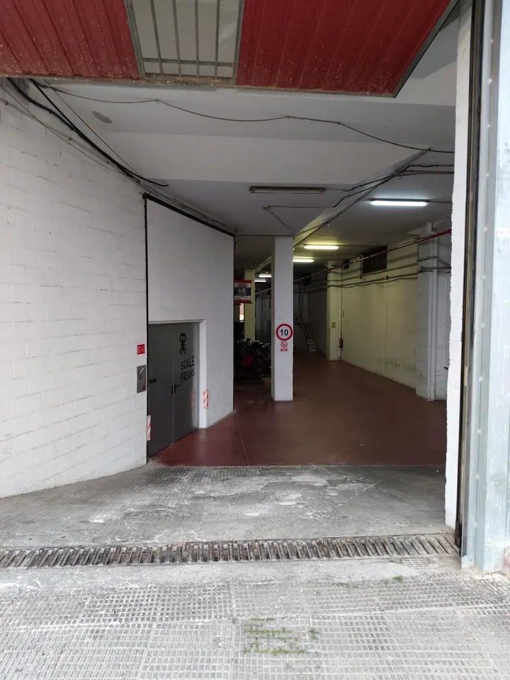 Muay thai school malaga — Muay Thai en Las Flores, Málaga