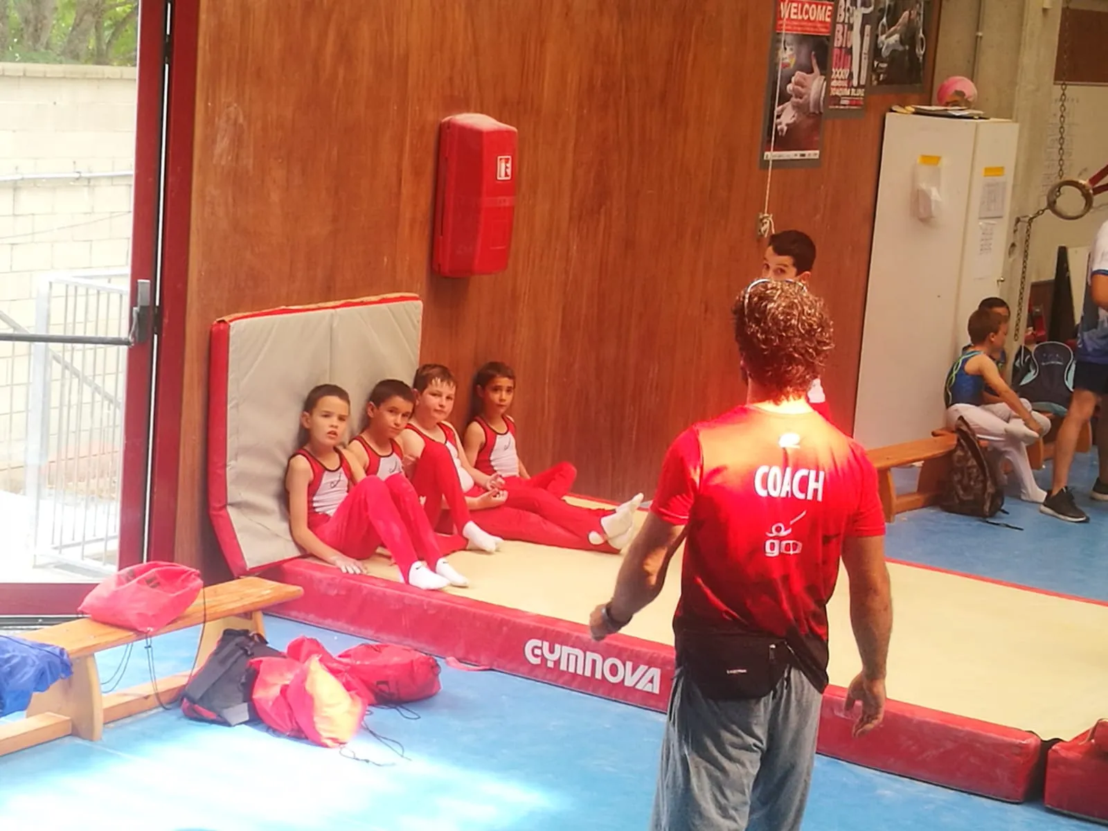 GIMNÀSTICA ARTÍSTICA PORQUERES — gimnasia-studio en Porqueres — 3
