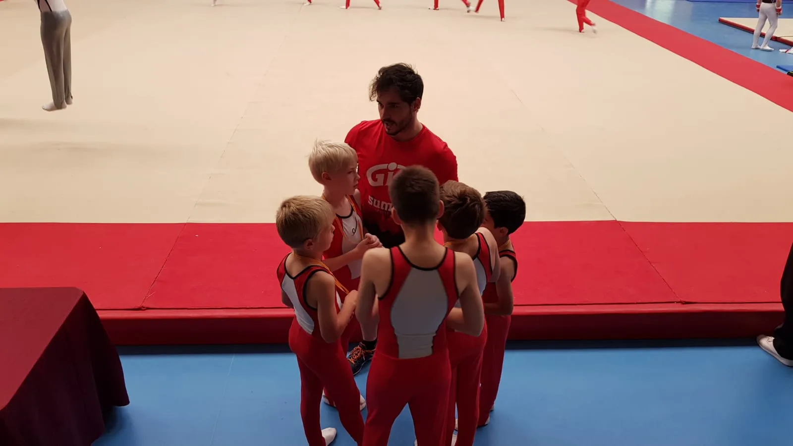 GIMNÀSTICA ARTÍSTICA PORQUERES — gimnasia-studio en Porqueres — 5