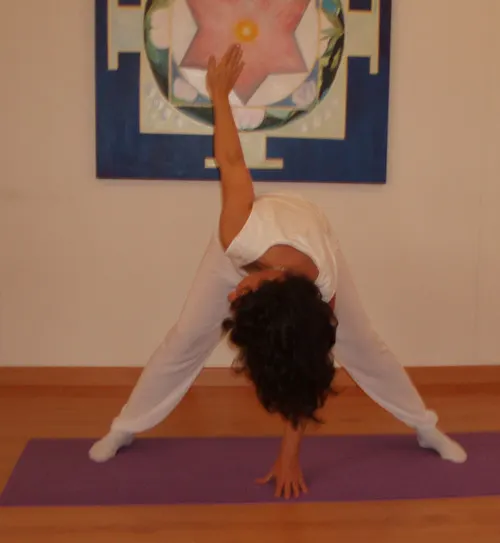 Centro de Yoga y Terapias Naturales Lakshmi y Arjuna — yoga-studio en Barcelona — 4