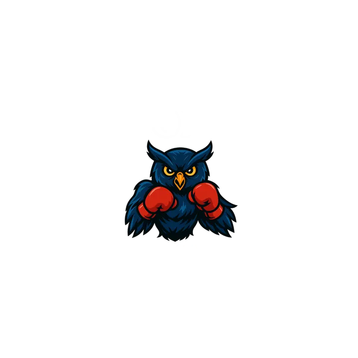 Dijon Boxe — boxe-studio à La Maladière, Dijon — 3
