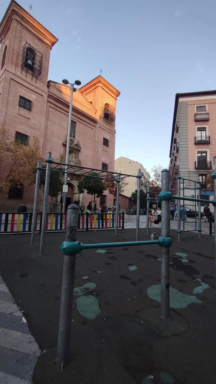 TRex Calistenia Universidad — calisthenics-studio en Madrid — 4