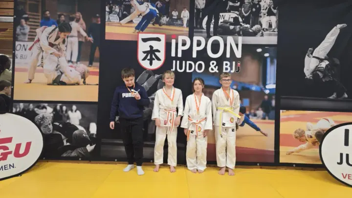 Ringerike Judoklubb — martial arts-studio i Hønefoss