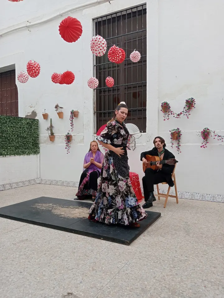 Flamencos por El Mundo — baile-studio en Sevilla — 4
