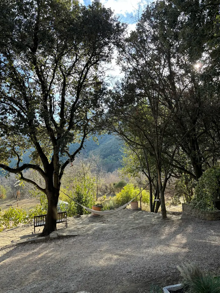 Déborah Brime. Yoga Meditación Y Creatividad. — yoga-studio en El Masnou, Barcelona — 2