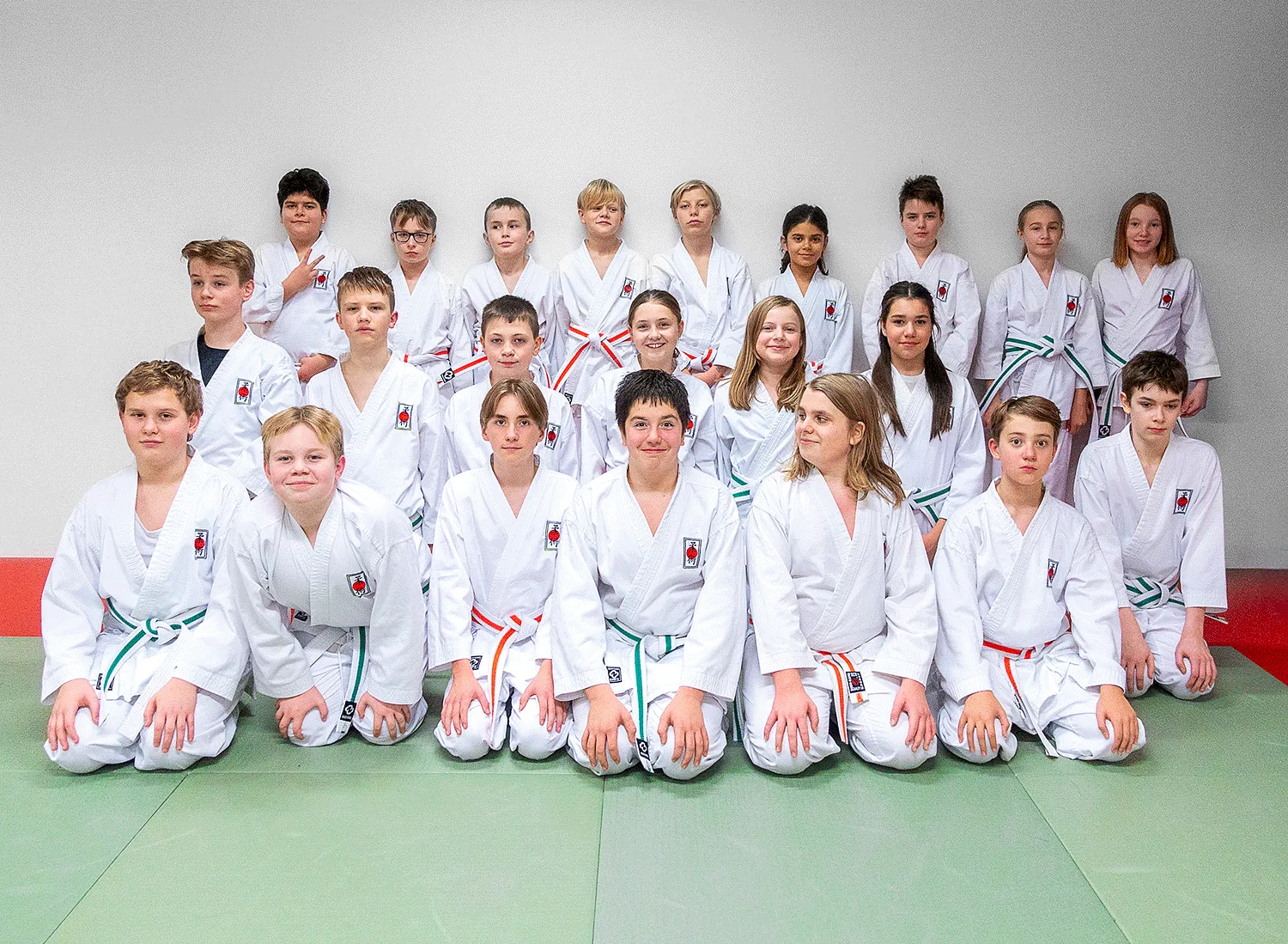 Älvsjö Ju-jutsuklubb — bjj-studio i Stockholm — 3