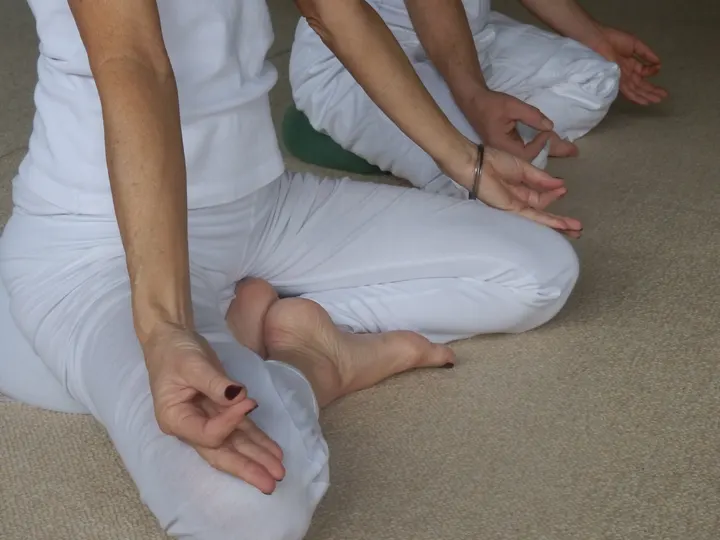 Yoga-Alegria — yoga-studio à Nord - Saint-Martin, Rennes — 2
