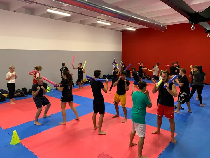 Impera Academy — arti marziali-studio a Torre di Burri, San Giorgio delle Pertiche — 2