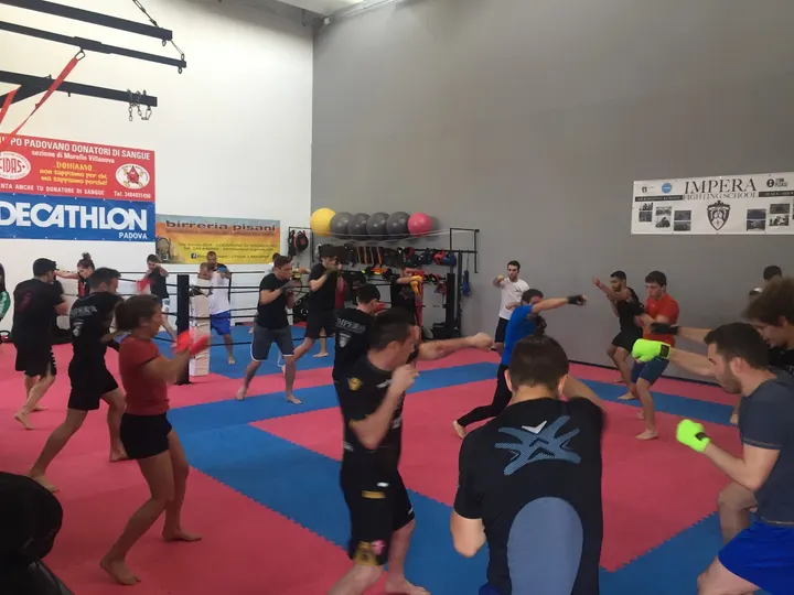 Impera Academy — arti marziali-studio a San Giorgio delle Pertiche — 5