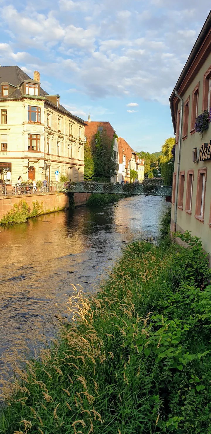 Ettlingen — fitnessstudio in Ettlingen — 3