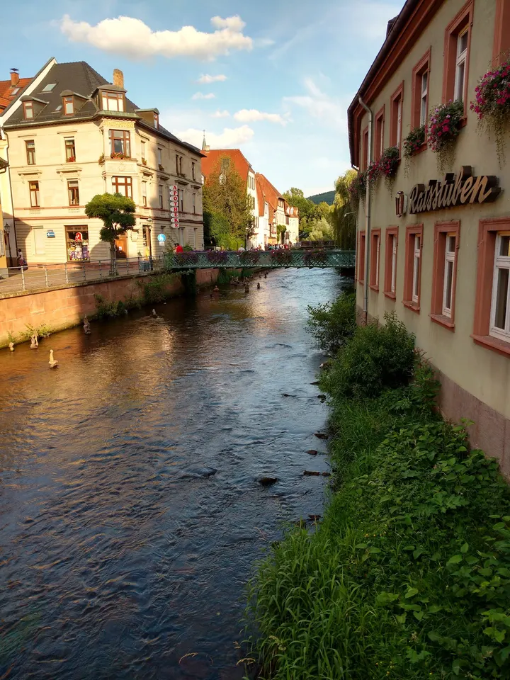 Ettlingen — Fitnessstudio in Ettlingen
