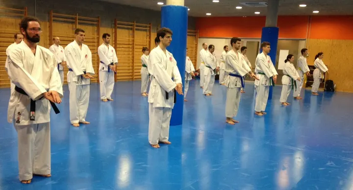Club Karate Sant Cugat — artes marciales-studio en Costa del Golf, Sant Cugat del Vallès — 3