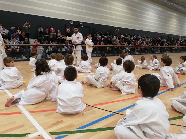 Club Karate Sant Cugat — artes marciales-studio en Sant Cugat del Vallès — 3