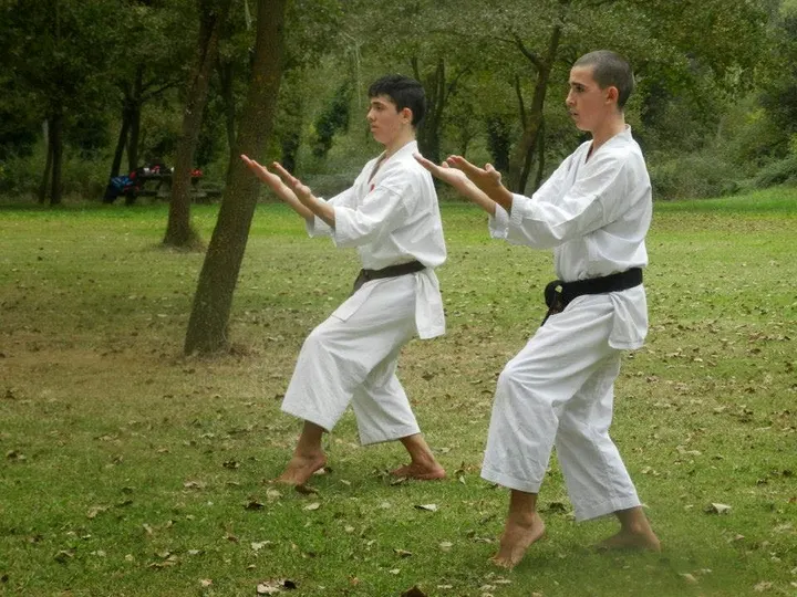 Club Karate Sant Cugat — artes marciales-studio en Sant Cugat del Vallès — 4