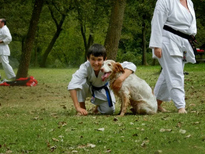 Club Karate Sant Cugat — artes marciales-studio en Sant Cugat del Vallès — 5