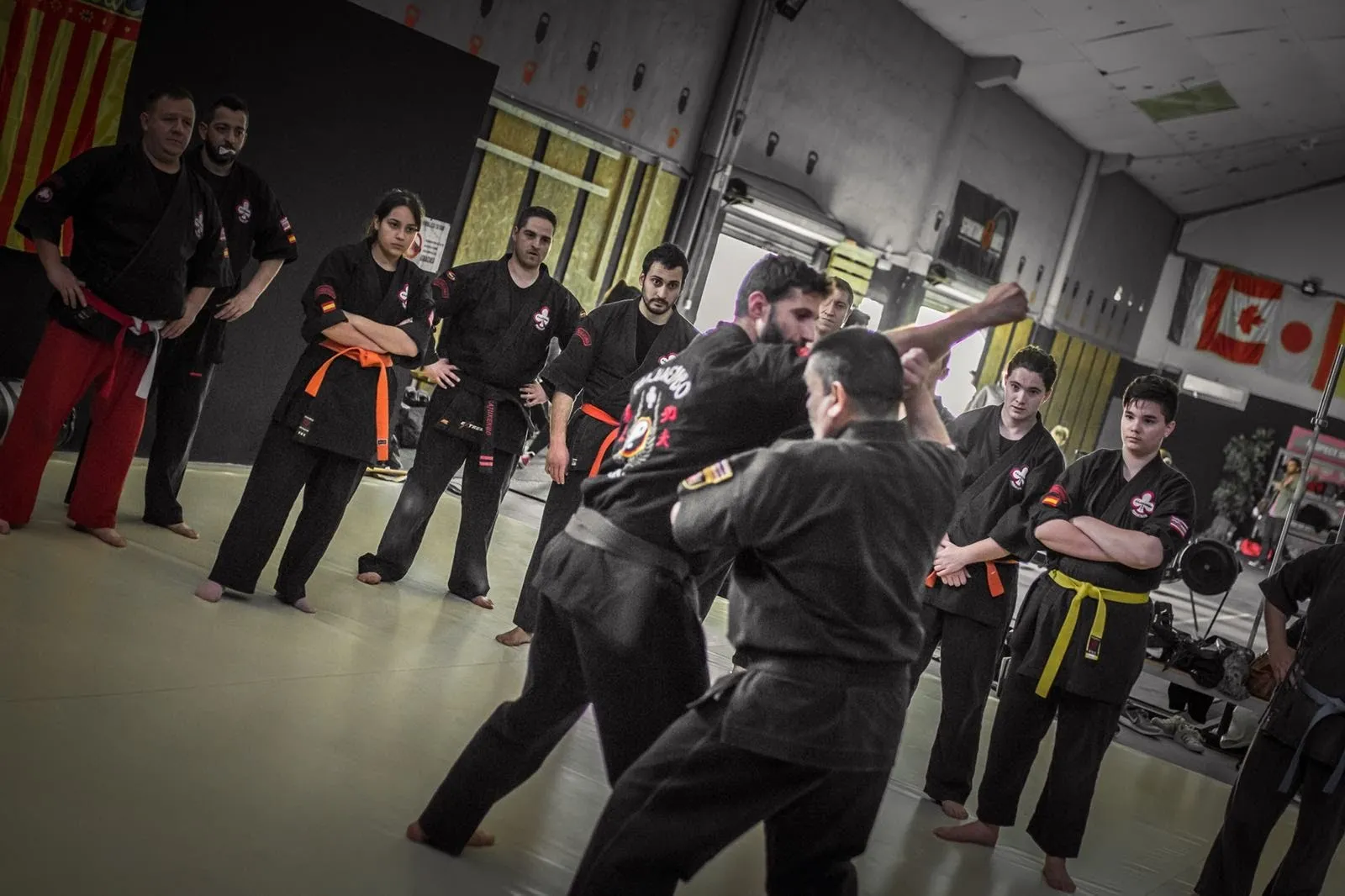 Kajukenbo Valencia — artes marciales-studio en Albal — 4