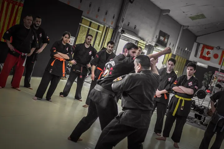 Kajukenbo Valencia — artes marciales-studio en Valencia — 4
