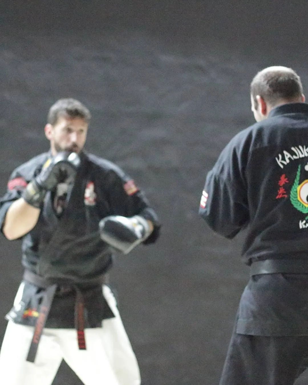 Kajukenbo Valencia — artes marciales-studio en Albal — 5