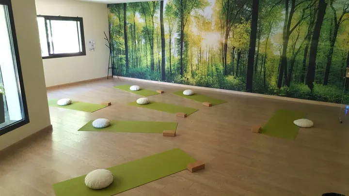 Padma Yoga France Shanti — yoga-studio à Port du Canal, Dijon — 2