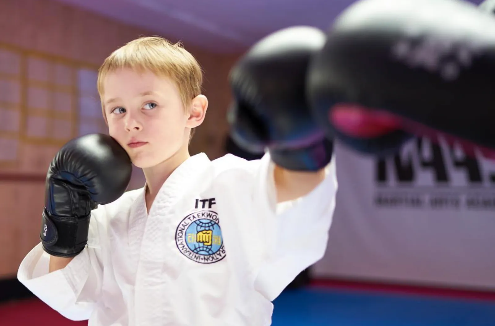 Kampfsport Kassel | MAA - Martial Arts Academy | Kampfkunst Eryörük — kampsport-studio i Kassel — 2