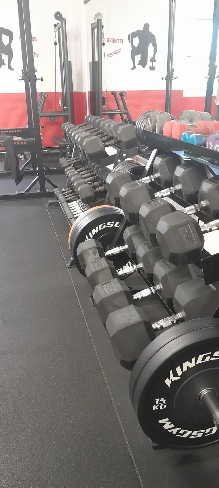 A X Gym — palestre-studio a Acconia — 5