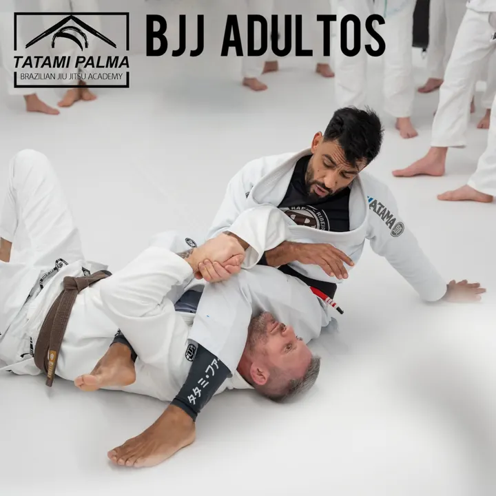 Tatami Palma BJJ — martial arts-studio i Son Cotoner, Palma