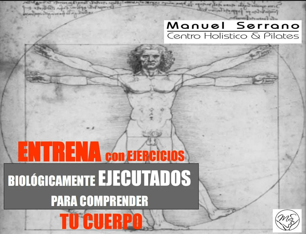 Entrenamiento Funcional Ms - Pilates Málaga — pilates-studio en Málaga — 3