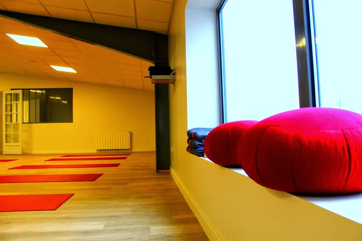 Yoga Lodge Caluire — yoga-studio à Caluire-et-Cuire, Lyon — 3