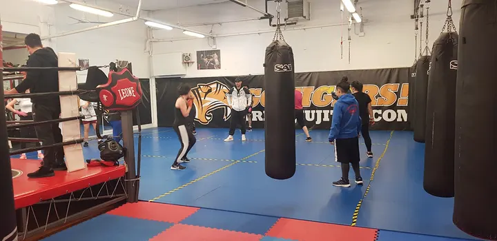 Centro Sport Combattimento — arti marziali-studio a Firenze — 4