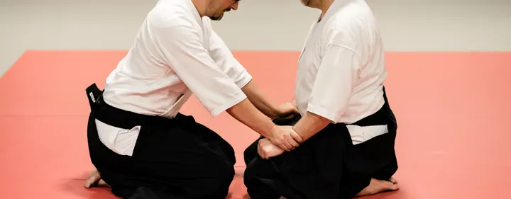 Ki Aikido Frankfurt — kampfsport-studio in Frankfurt am Main — 5