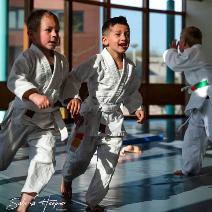 Stichting Budo Instituut Kiryoku — Vechtsport in De Huet-I, Doetinchem