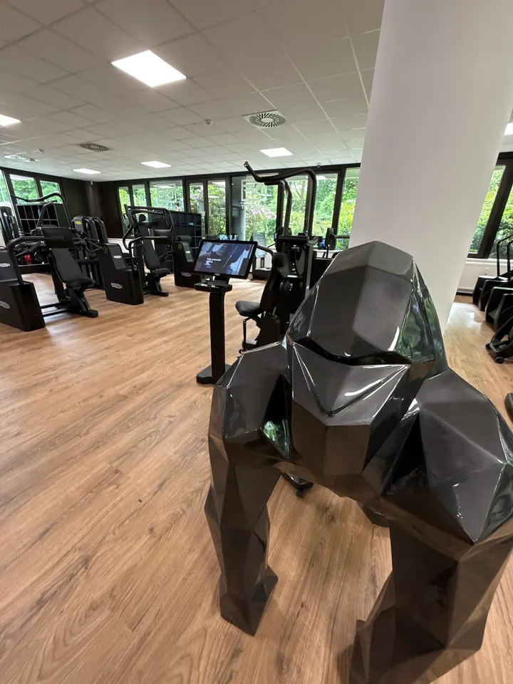 Dannyfit Gesundheitsstudio Medizinische Fitness — fitnessstudio in Dortmund — 5