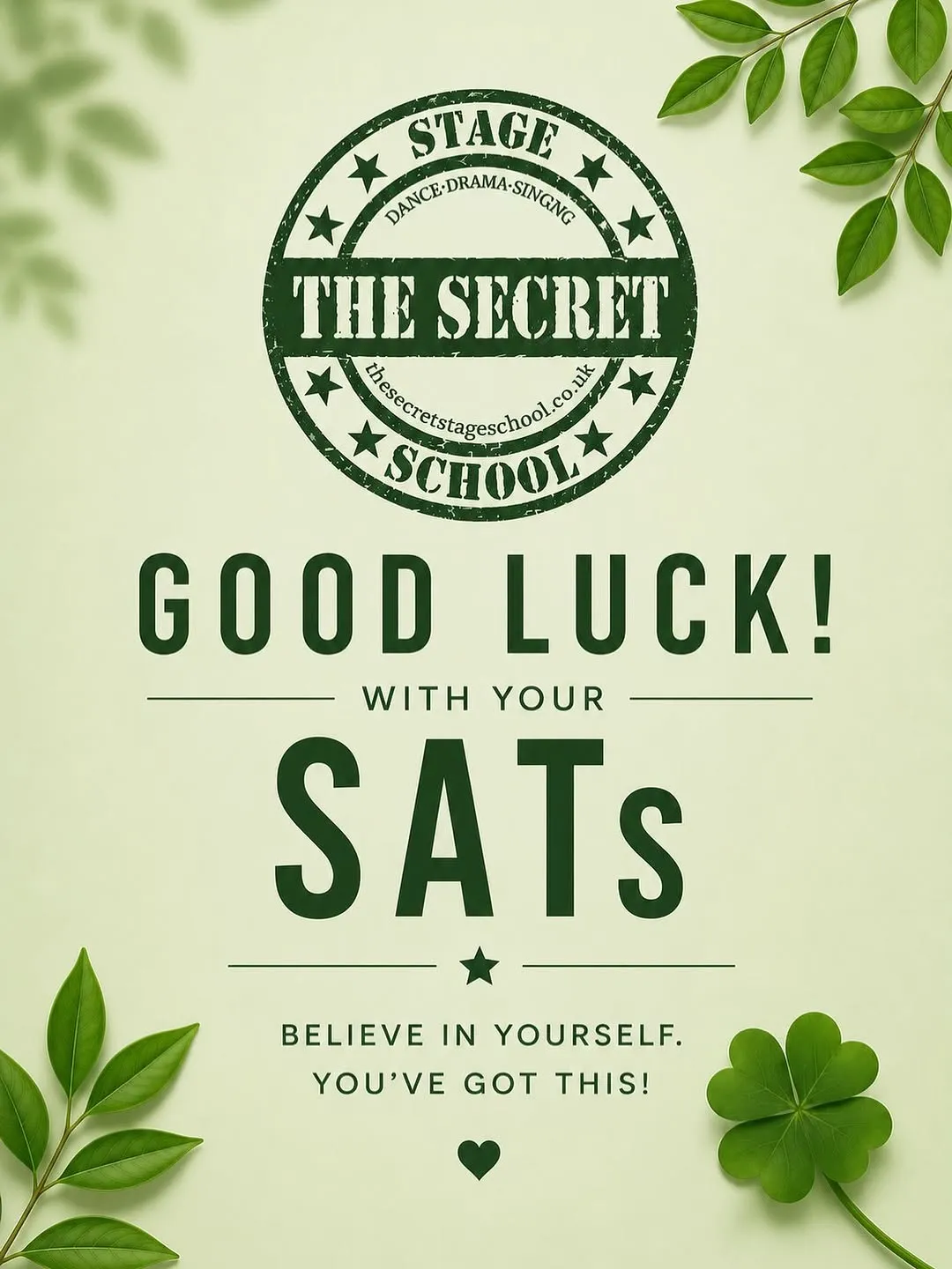 The Secret Stage School — dance-studio in Camberley — 3