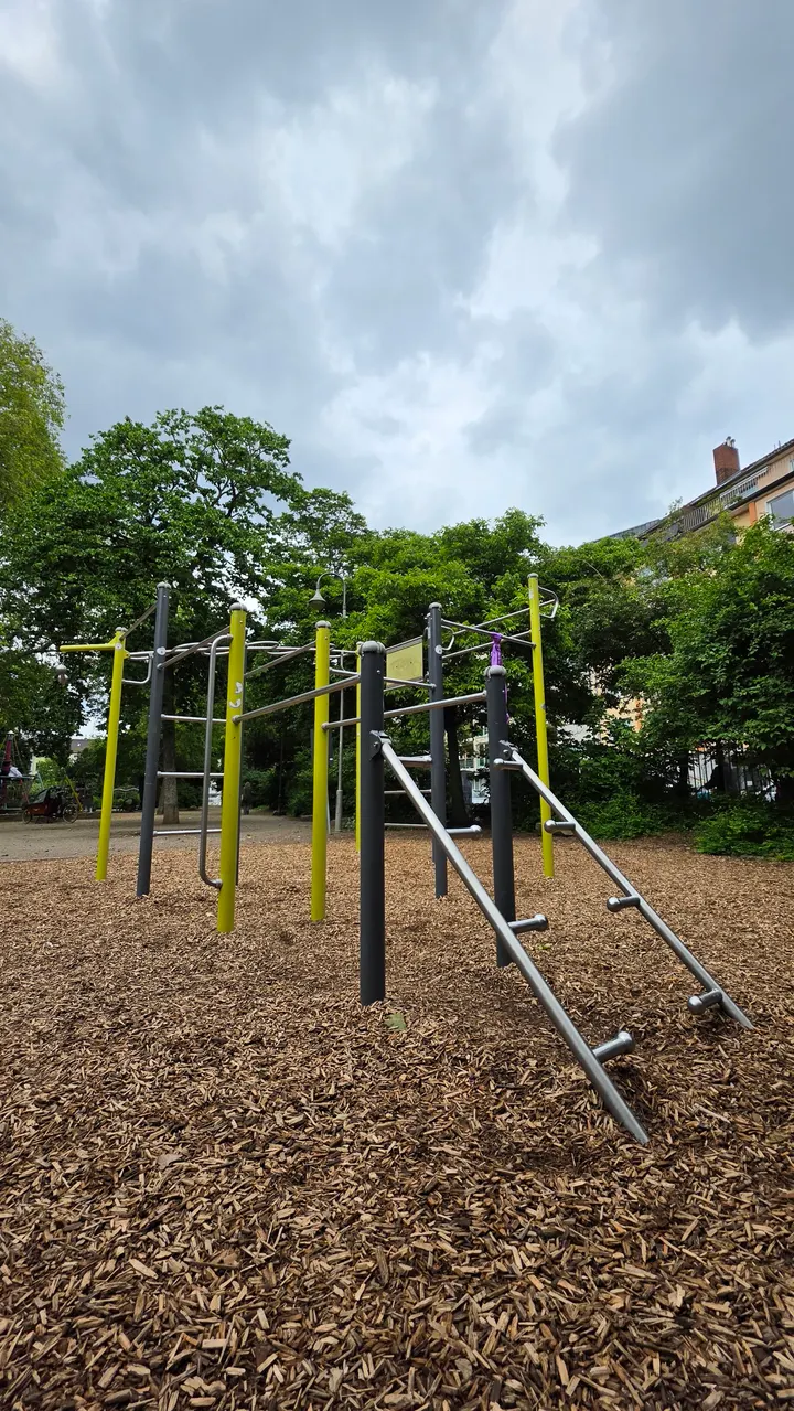 Calisthenics Park Floragarten — calisthenics-studio in Düsseldorf — 4