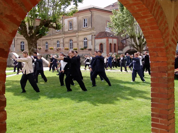 Tai Chi Lyon — arts martiaux-studio à Lyon — 4